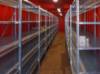 Picture of ARCHIVE AND STORAGE MODULAR SHELVING SYSTEMS BP-VARY