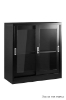 Picture of ARCHIVE CABINET XD-018