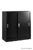 Picture of ARCHIVE CABINET XD-020