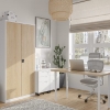 Picture of OFFICE METAL CABINET BP-DM01 (WHITE/OAK)