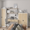 Picture of OFFICE METAL CABINET BP-DM02 (WHITE/OAK)