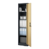 Picture of OFFICE CABINET BP-D05-AO