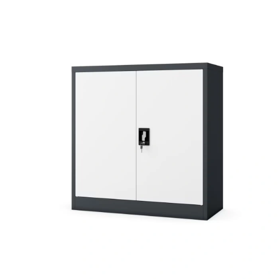 Picture of OFFICE CABINET BP-D06-AB