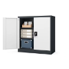 Picture of OFFICE CABINET BP-D06-AB
