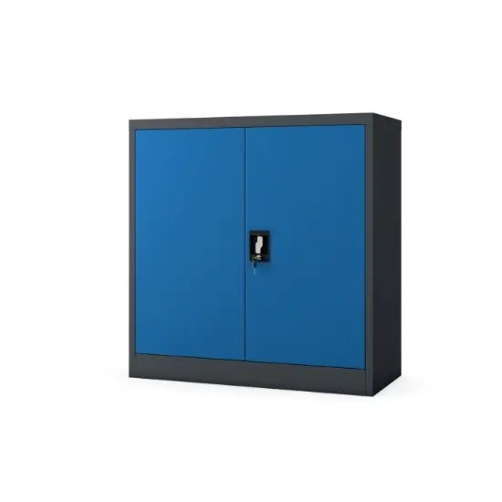 Picture of OFFICE CABINET BP-D06-AP